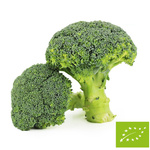 Čerstvá brokolice BIO (cca 0,50 kg)