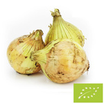 Čerstvá žlutá cibule BIO Polsko - cca 5 kg