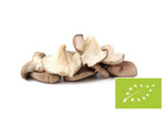 Hlíva ústřičná čerstvá BIO (Polsko) (cca 0,20 kg) – Bio Planet