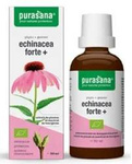 Echinacea forte (třapatka nachová) kapky doplněk stravy Bio 50 ml – Purasana