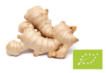 Zázvor BIO 1 kg