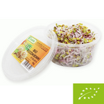 Čerstvé Bio klíčky ředkvičky – cca 50 g