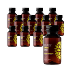 SADA 12 x Kombucha BIO Probiotický detoxikační shot 100ml