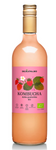 Kombucha jahoda bio 750 ml - Delikátní (Kvásek)