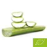 Čerstvá aloe vera bio (cca 0,50 kg)