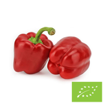 Paprika červená čerstvá BIO (přibližně 5 kg) – Bio Planet