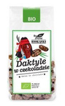 Datle v raw čokoládě BIO 100 g