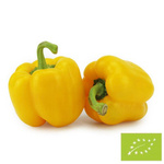 Čerstvá žlutá paprika BIO - cca 5 kg