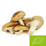 Houby shiitake čerstvé bio (Polsko) (cca 0,20 kg)