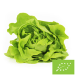 Čerstvý hlávkový salát BIO (Polsko) (cca 0,20 kg)