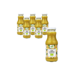 SADA 6 x Zázvorová šťáva Nfc Bio 250 ml