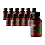 SADA 12 x Kombucha BIO Probiotický energetický shot 100ml