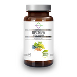 Extrakt z hroznových jader 95 % OPC (450 mg) doplněk stravy 60 kapslí – Soul Farm