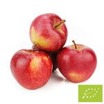 Čerstvá jablka Gala BIO (Polsko) - cca 13 kg