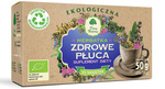 Čaj na zdravé plíce BIO doplněk stravy 50 g (25 x 2 g) - Dar Natury