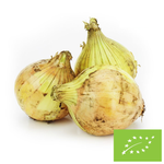 Čerstvá žlutá cibule Bio (Polsko) (cca 1,00 kg)