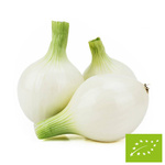 Cibule bílá cukrová, čerstvá BIO (Polsko) – cca 1,00 kg