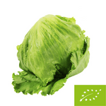SAŁATA LODOWA ŚWIEŻA BIO (POLSKA) (około 0,30 kg)
