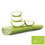 Čerstvá aloe vera bio (cca 0,50 kg)