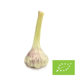 Čerstvý česnek BIO (Polsko) - cca 125 g