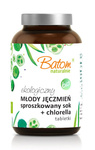 Prášek ze šťávy z mladého ječmene + chlorella 500 mg tablety doplněk stravy 120 g - Batom