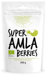 Amla prášek bio doplněk stravy 200 g - Dietní potraviny