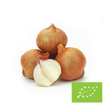 Šalotka čerstvá BIO – cca 0,50 kg