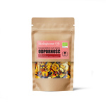 Ovocné směsi do müsli a dezertů pro imunitu Bio 20 g – Dary Natury