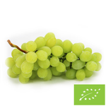 Hrozny bílé čerstvé BIO - cca 3 kg