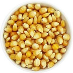 Popcorn (kukuřičná zrna) bio (surovina) (25 kg) 2