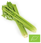 Čerstvý celer BIO (cca 0,35 kg) 1 ks.