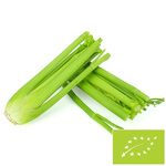 SNOW SELER ŚWIEŻY BIO (POLSKO) (cca 0,30 kg)
