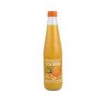 Mandarinkový džus 100% 330 ml