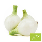 Cibule bílá cukrová čerstvá BIO (Polsko) (hromadné balení kg) – cca 5 kg